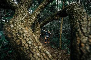 BIB: 
                            <button type="button" onclick="openModal(25393507)" class="btn btn-primary btn-sm float-right btn-popup" data-toggle="modal" data-target=".modal-high-quality">
                        <i class="fas fa-shopping-cart"></i> Add to Cart
                    </button>
                                            <button type="button" onclick="isThisMe(25393507, true)" class="btn btn-success btn-sm float-right btn-popup btn-isme hidden" data-toggle="tooltip" data-placement="bottom" title="นี่คือรูปของคุณใช่ไหม คลิกที่นี่เพื่อเอาเข้าอัลบั้ม">
                        <i class="fas fa-plus"></i> Add to album
                    </button>
                    <button type="button" onclick="isThisMe(25393507, false)" class="btn btn-warning btn-sm float-right btn-popup btn-isnotme hidden">
                        <i class="fas fa-ban"></i> Remove from album
                    </button>